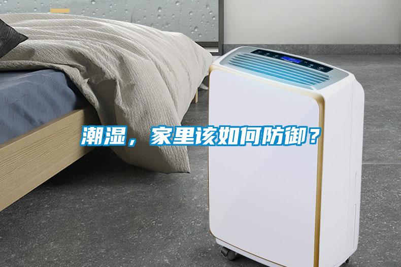 潮濕，家里該如何防御？