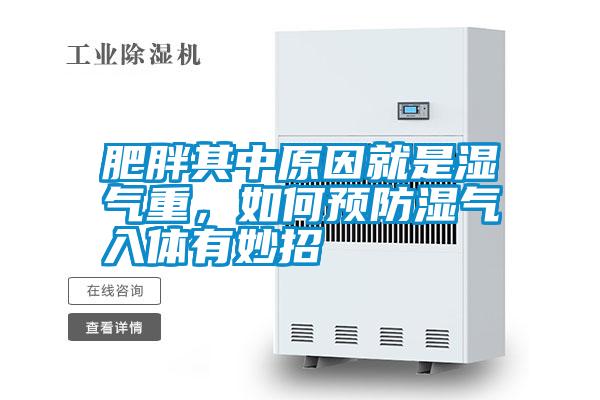 肥胖其中原因就是濕氣重，如何預防濕氣入體有妙招