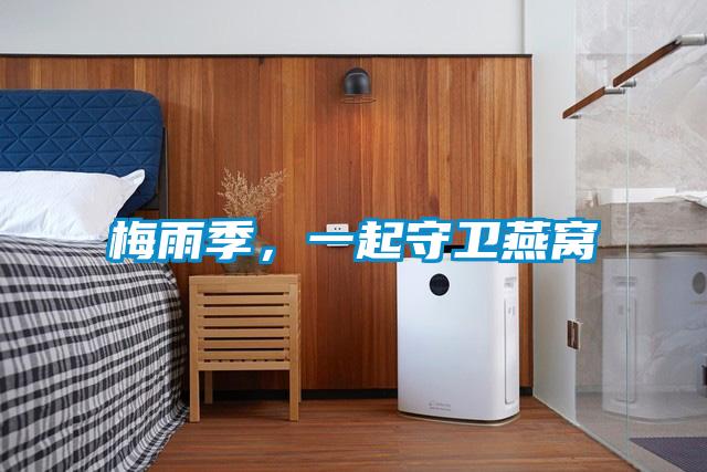 梅雨季，一起守衛燕窩
