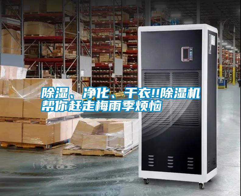 除濕、凈化、干衣!!除濕機幫你趕走梅雨季煩惱