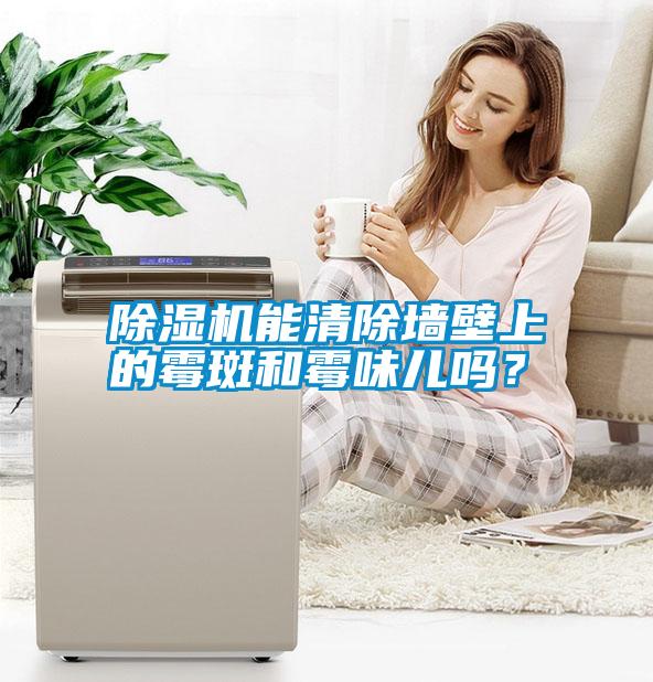 除濕機能清除墻壁上的霉斑和霉味兒嗎？