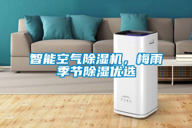 智能空氣除濕機，梅雨季節除濕優選
