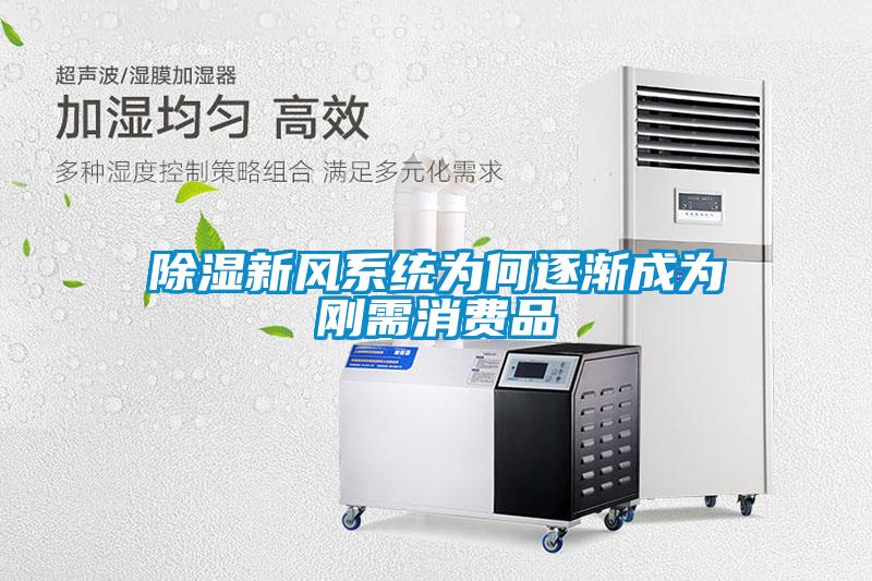 除濕新風系統為何逐漸成為剛需消費品