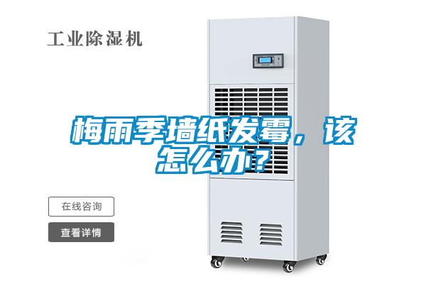 梅雨季墻紙發霉，該怎么辦？