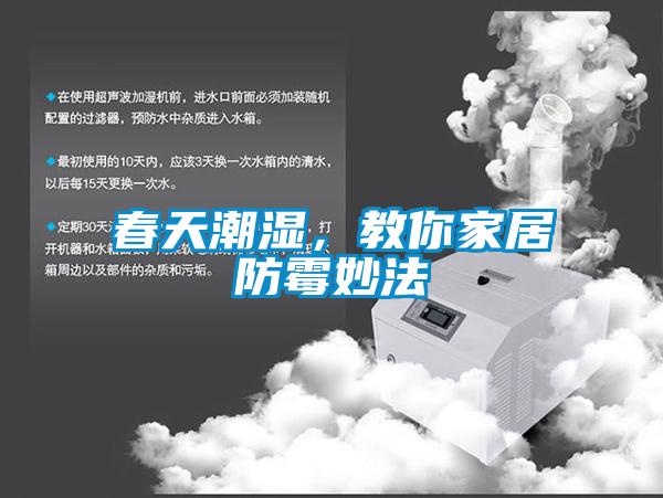 春天潮濕，教你家居防霉妙法