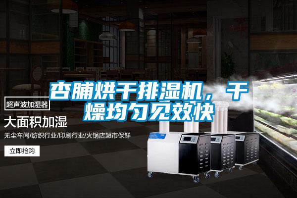 杏脯烘干排濕機，干燥均勻見效快