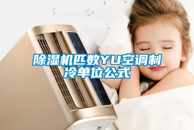 除濕機匹數YU空調制冷單位公式
