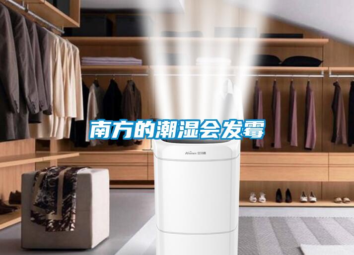 南方的潮濕會發霉