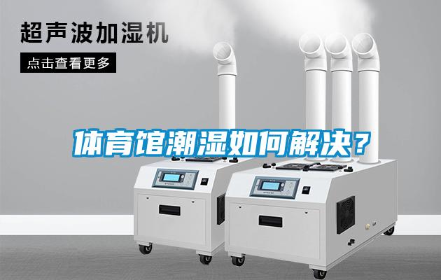 體育館潮濕如何解決？