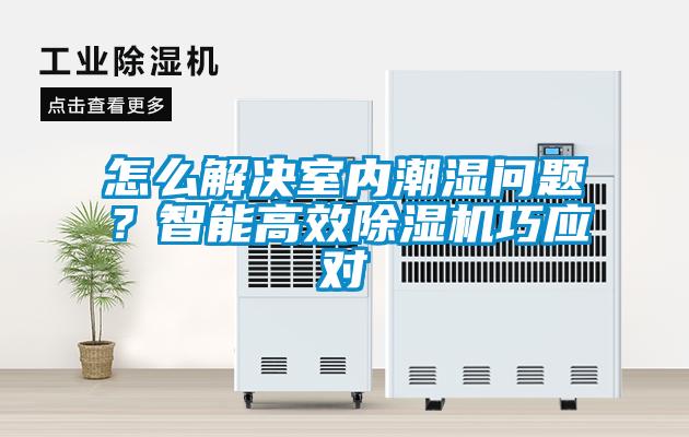 怎么解決室內潮濕問題？智能高效除濕機巧應對