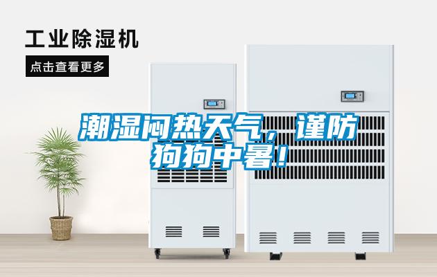 潮濕悶熱天氣，謹防狗狗中暑！
