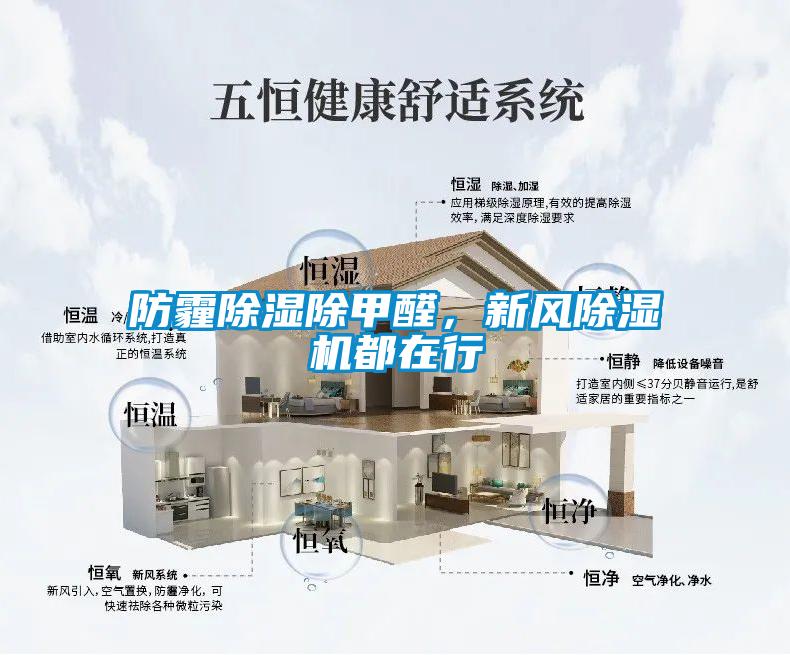 防霾除濕除甲醛，新風除濕機都在行