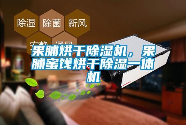 果脯烘干除濕機，果脯蜜餞烘干除濕一體機