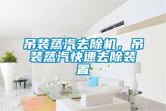 吊裝蒸汽去除機，吊裝蒸汽快速去除裝置