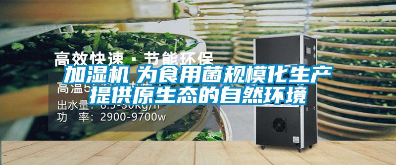 加濕機　為食用菌規?；a提供原生態的自然環境