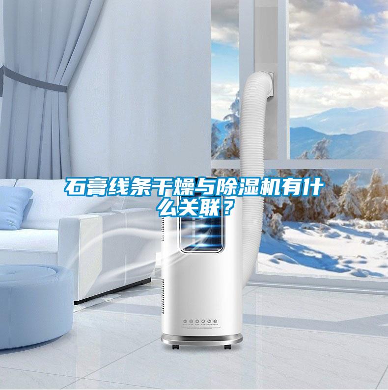 石膏線條干燥與除濕機有什么關聯？