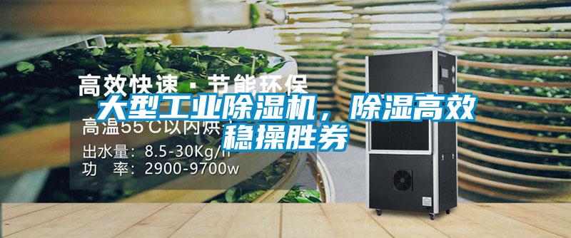 大型工業除濕機，除濕高效穩操勝券