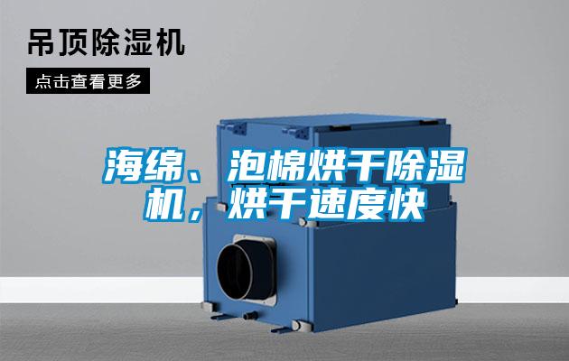 海綿、泡棉烘干除濕機，烘干速度快