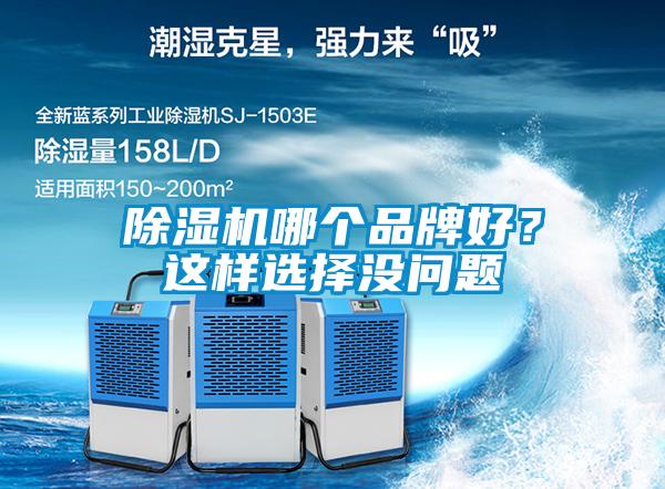 除濕機哪個品牌好？這樣選擇沒問題