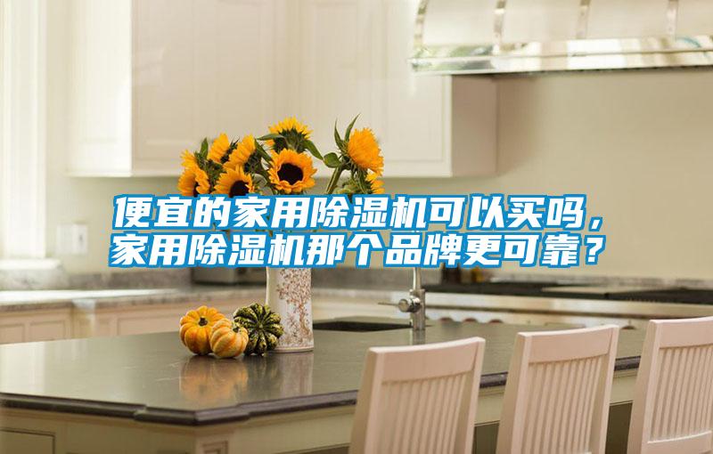 便宜的家用除濕機可以買嗎，家用除濕機那個品牌更可靠？