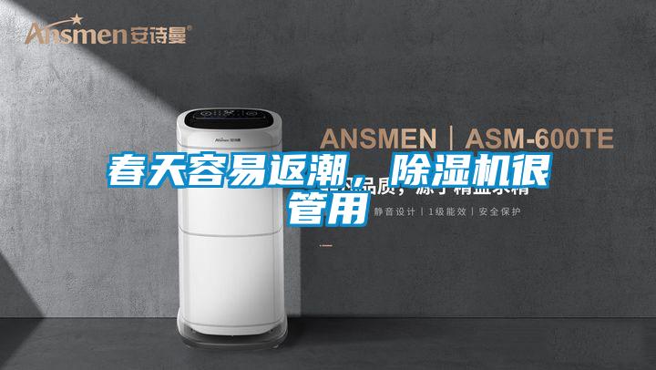 春天容易返潮，除濕機很管用