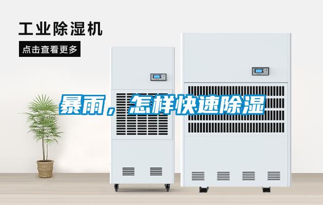 暴雨，怎樣快速除濕