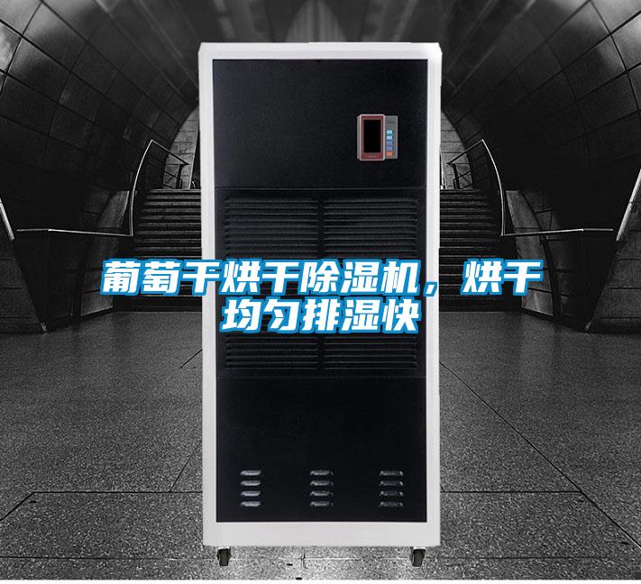葡萄干烘干除濕機，烘干均勻排濕快