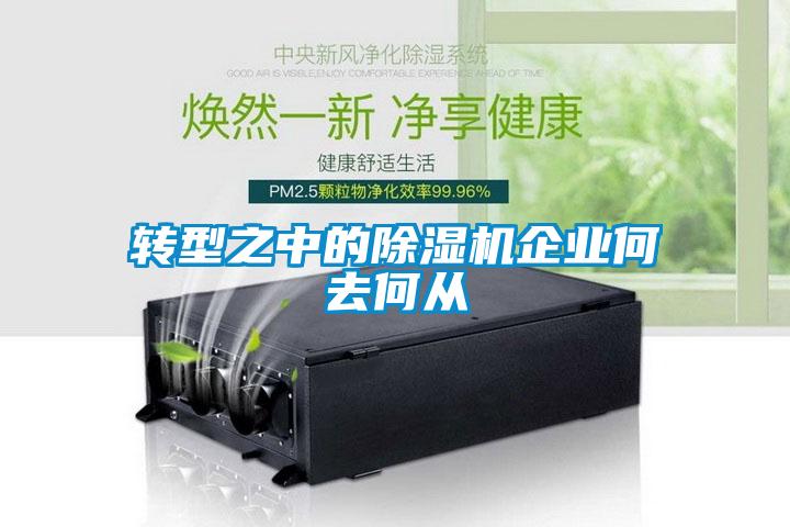 轉型之中的除濕機企業何去何從