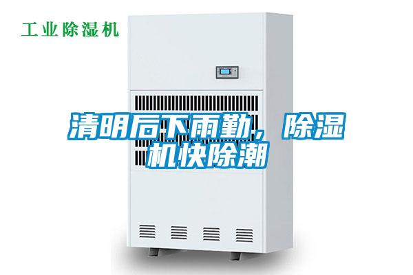 清明后下雨勤，除濕機快除潮