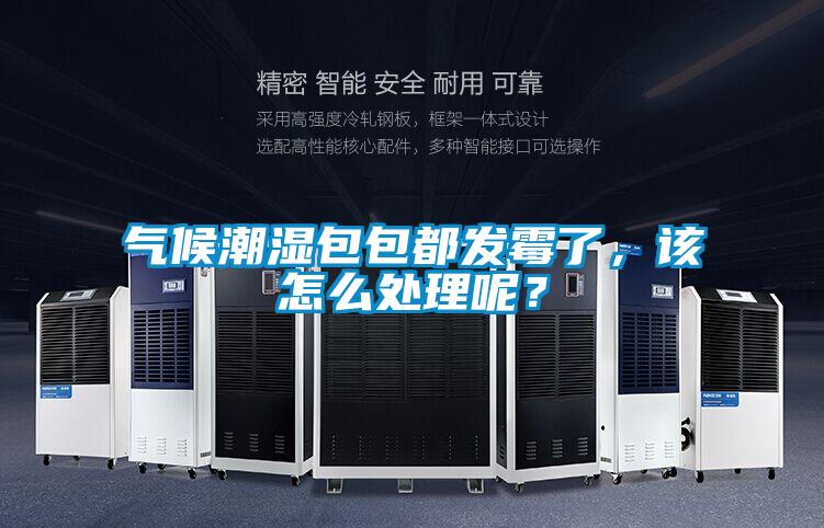氣候潮濕包包都發霉了，該怎么處理呢？