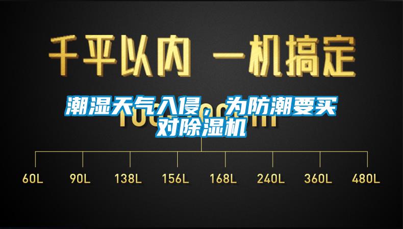 潮濕天氣入侵，為防潮要買對除濕機
