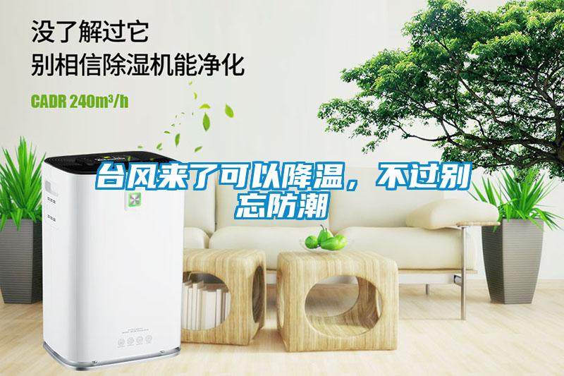 臺風來了可以降溫，不過別忘防潮