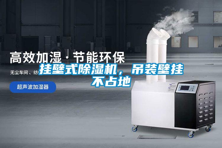 掛壁式除濕機，吊裝壁掛不占地