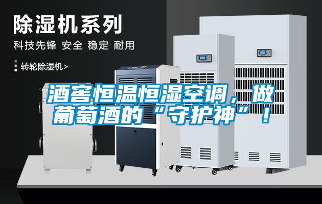 酒窖恒溫恒濕空調，做葡萄酒的“守護神”！