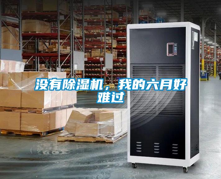 沒有除濕機，我的六月好難過