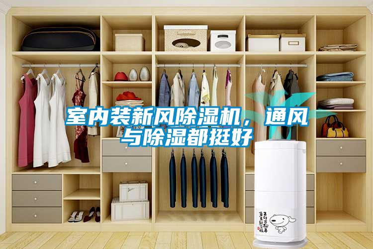 室內裝新風除濕機，通風與除濕都挺好