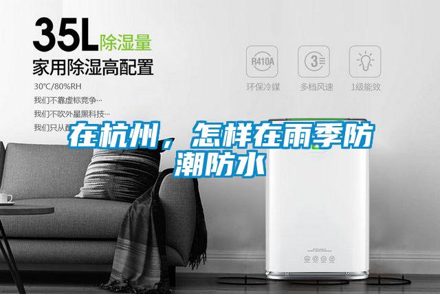 在杭州，怎樣在雨季防潮防水