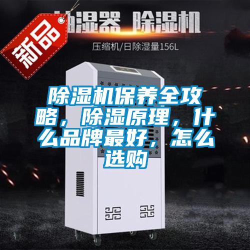 除濕機保養全攻略，除濕原理，什么品牌最好，怎么選購