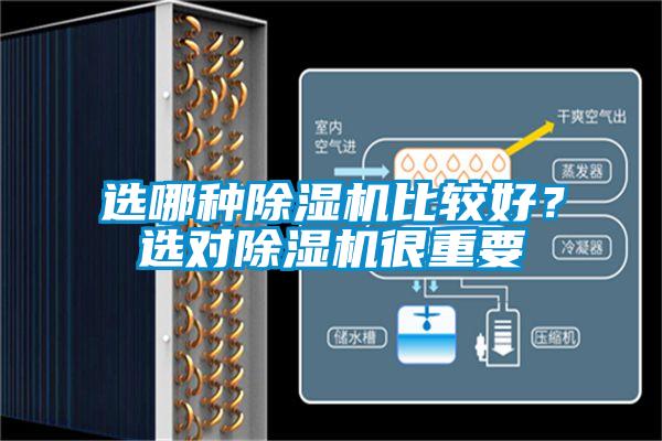 選哪種除濕機比較好？選對除濕機很重要