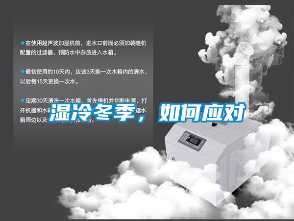 濕冷冬季，如何應對