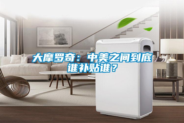 大摩羅奇：中美之間到底誰補貼誰？