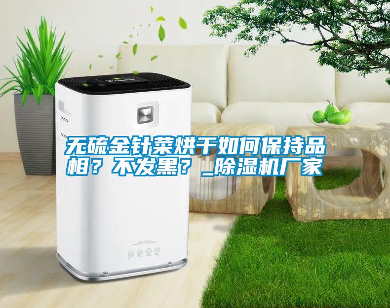 無硫金針菜烘干如何保持品相？不發黑？_除濕機廠家