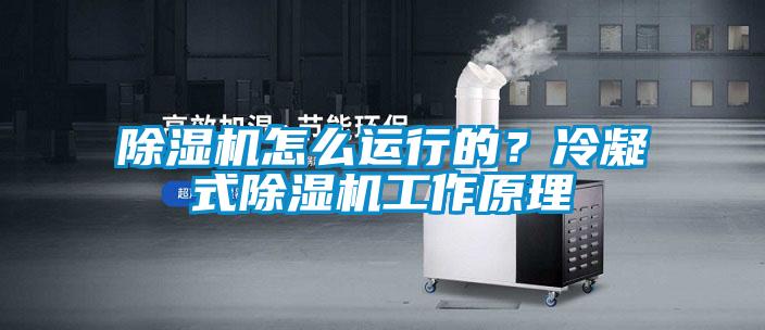 除濕機怎么運行的？冷凝式除濕機工作原理