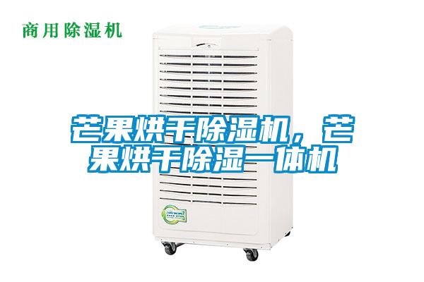 芒果烘干除濕機，芒果烘干除濕一體機