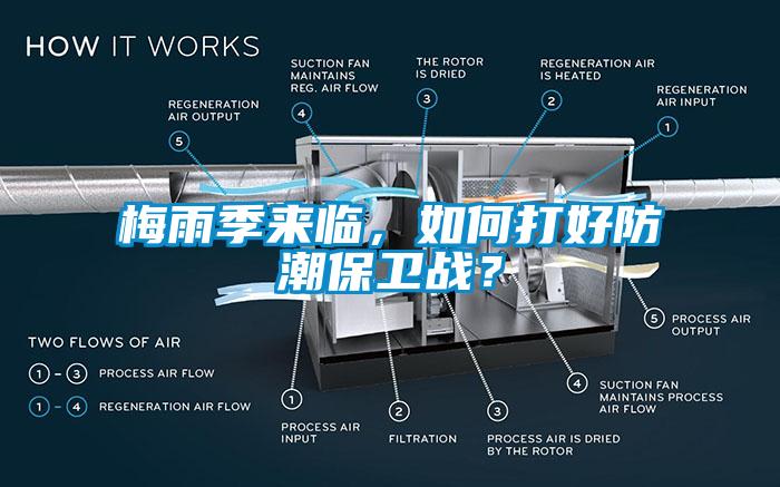 梅雨季來臨，如何打好防潮保衛戰？