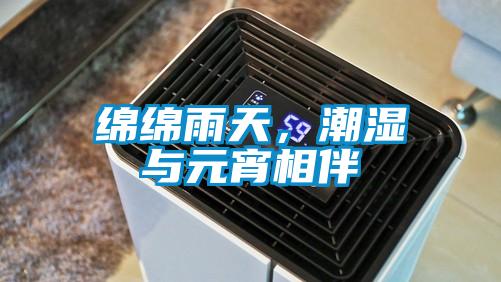 綿綿雨天，潮濕與元宵相伴