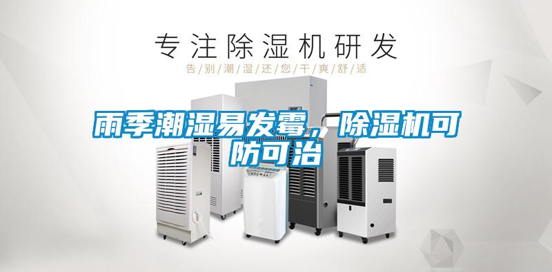 雨季潮濕易發霉，除濕機可防可治