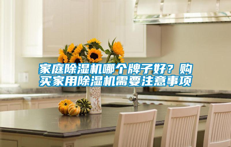 家庭除濕機哪個牌子好？購買家用除濕機需要注意事項