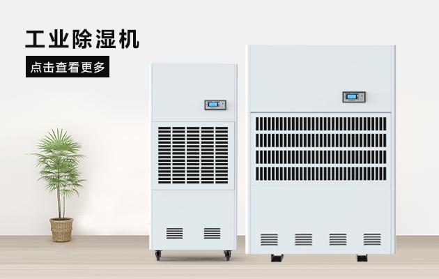 秋雨連綿，除濕機為生活創造干爽