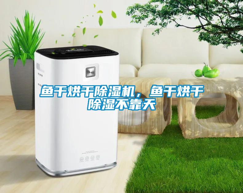 魚干烘干除濕機，魚干烘干除濕不靠天